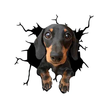 3D Güzel Pet Köpek Araba Sticker Pug Samoyed Dachshund Köpek Yırtık Metal Etiket Su Geçirmez Araba Styling Pet Köpek Çıkartması 8x4 inç