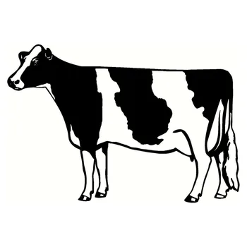 18 * 12.3 CM Eğlenceli Araba Styling Milch İnek Vinil Araba Çıkartmaları Çiftlik Sığır Dekoratif Çıkartması Siyah / Gümüş S1-2640